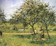 Camille Pissarro, Wheelbarrow